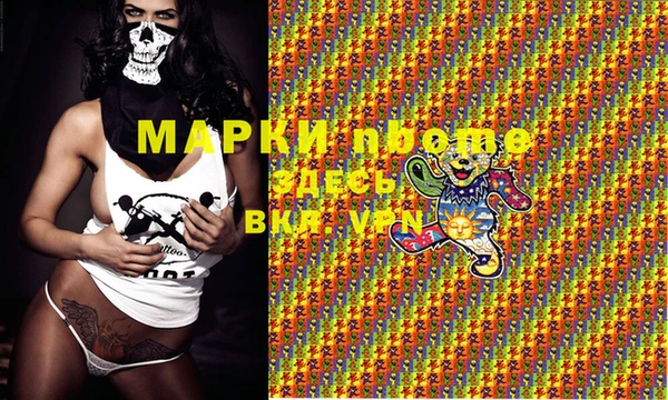 гашик Балахна