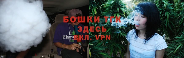 ПСИЛОЦИБИНОВЫЕ ГРИБЫ Арсеньев