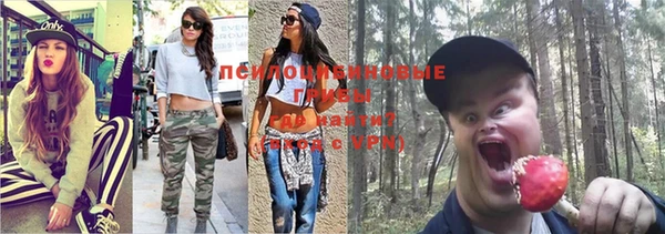 ПСИЛОЦИБИНОВЫЕ ГРИБЫ Арсеньев