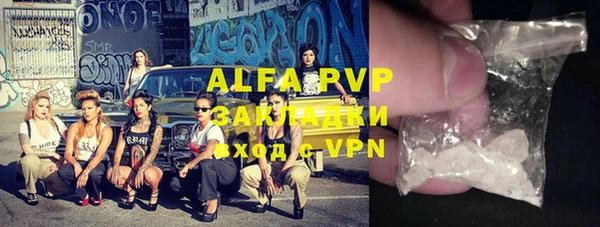 ПСИЛОЦИБИНОВЫЕ ГРИБЫ Арсеньев