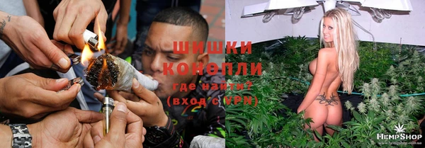 Альфа ПВП Балабаново